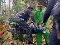 Dua Pendaki Gunung Gandang Dewata Dievakuasi Usai Alami Gangguan Kesehatan