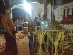 Sambut Musim Tanam, Masyarakat Adat Wale Ale Gelar Ritual Kaago-agono Liwu