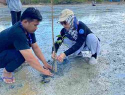 Peduli Lingkungan Pesisir BEM FT Unija Tanam 1000 Pohon Mangrove