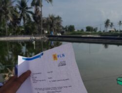 PLN Didesak Perbaiki Prosedur, Kasus Jailani Soroti Celah Keamanan Sistem