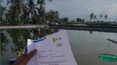 PLN Didesak Perbaiki Prosedur, Kasus Jailani Soroti Celah Keamanan Sistem