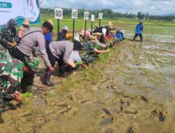 DKPP Sumenep Dorong Ketahanan Pangan Lewat Aksi Nyata Gerakan Tanam Padi