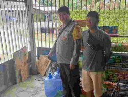 Gas Elpiji 3 Kg Digondol Maling, Polres Polman Turun Tangan Selidiki Hilangnya 50 Tabung di Matakali