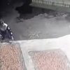 Aksi Curi Kakao di Halaman Masjid Terekam CCTV Dan Viral, Pelaku Serahkan Diri