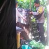 Pencurian di Tengah Kebun: Uang Rp15,9 Juta Raib, Suara Langkah Sempat Disangka Babi Hutan