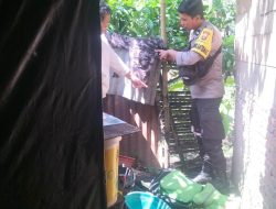 Pencurian di Tengah Kebun: Uang Rp15,9 Juta Raib, Suara Langkah Sempat Disangka Babi Hutan