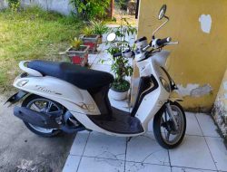 Duga Curi Motor dan Ponsel, Pria di Polewali Mandar Diamankan Warga Saat Berusaha Jual Hasil Curian