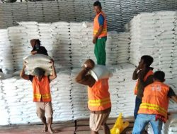 Sinergi Bulog–Dinas Ketahanan Pangan Majene: Gelar Pangan Murah dan Penyaluran Bantuan Beras Sambut Hari Jadi ke-481 dan HUT RI ke-81