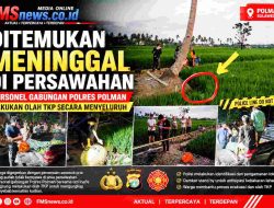 Temuan Mayat Petani di Binuang, Polisi Evakuasi Jenazah dan Periksa Barang Bukti